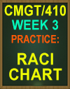 CMGT/410 WEEK 3 RACI CHART